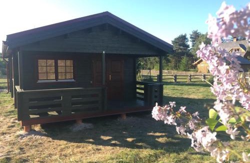 Baltic Sea House | Kāpas