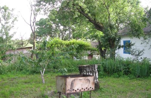 Kiev Oblast House | Kалиновий Kущ