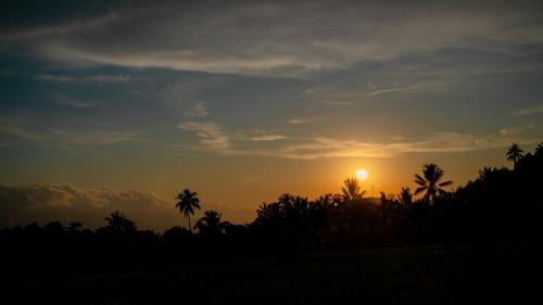Munduk Bed & Breakfast | Kacu Bali Munduk
