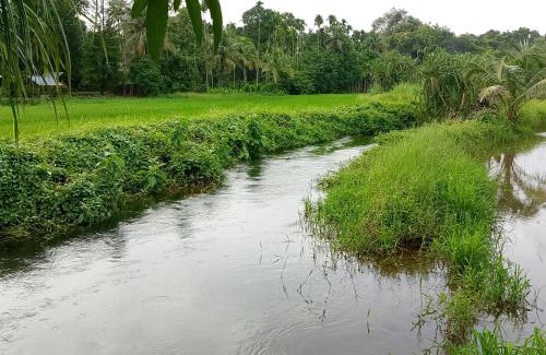 Hosdurg Resort | Kadaleevanam Yoga Academy
