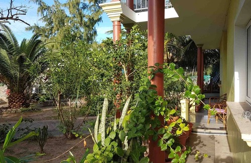 Coromandel House | Kafé Marron: Guesthouse, 100m from beach. 4 rooms for rent, half-board option
