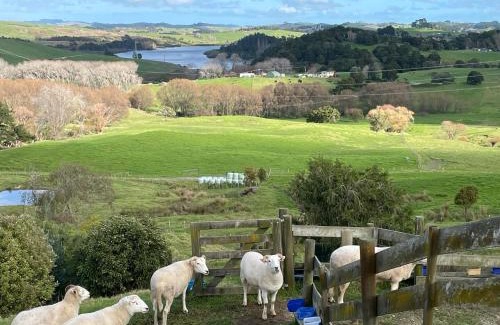 Kaiwaka House | Kaiwaka Paradise - Kaiwaka Holiday Home