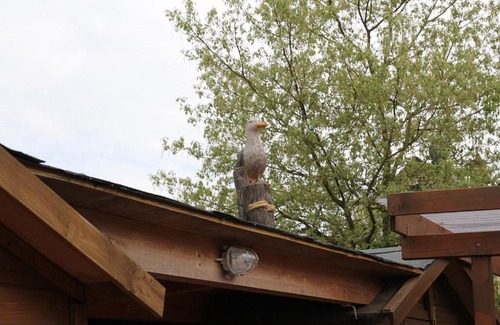 Brake Hotel | KAJÜTE