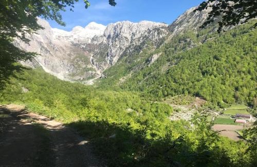 Kukes County House | Kakia Guesthouse