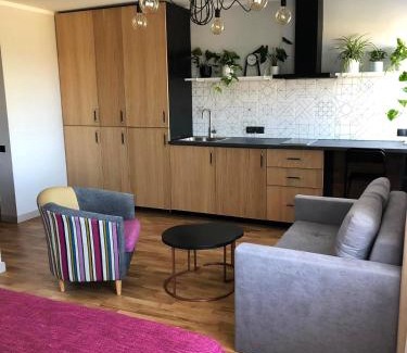 Smiltene Apartment | Kaktuss apartamenti Smiltene