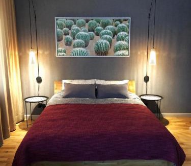 Smiltene Apartment | Kaktuss apartamenti Smiltene