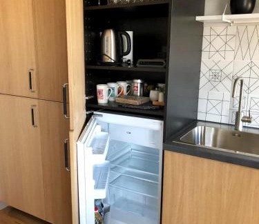 Smiltene Apartment | Kaktuss apartamenti Smiltene