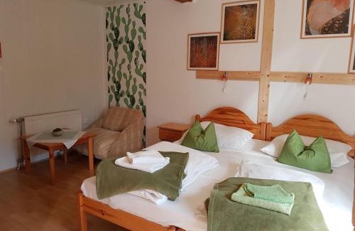 Heviz House | Kaktusz Villa Heviz