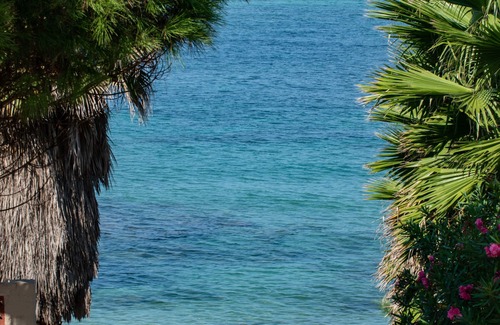 Preveza Villa | Kalamitsi Villa - Seafront House-Villa in Ionian sea surrounded by Fruit-grove