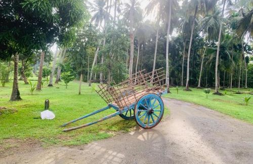 Ipalogama Bed & Breakfast | Kalawewa Villa