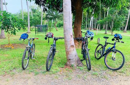 Ipalogama Bed & Breakfast | Kalawewa Villa