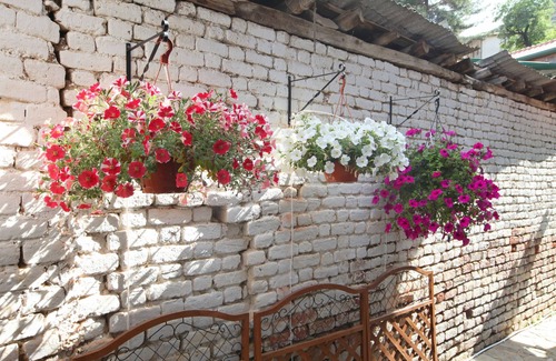 Kalopanayiotis Villa | Kalopanayiotis 1-Bedroom Cottage