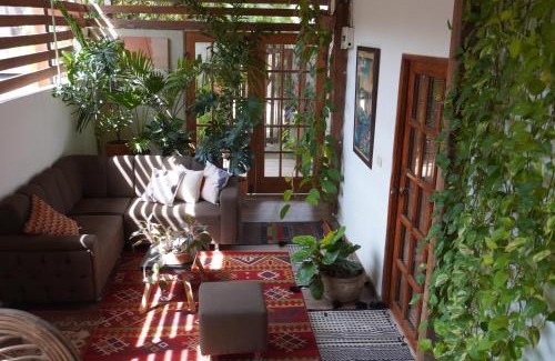 Palomino House | KameHousePalomino