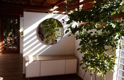 Palomino House | KameHousePalomino