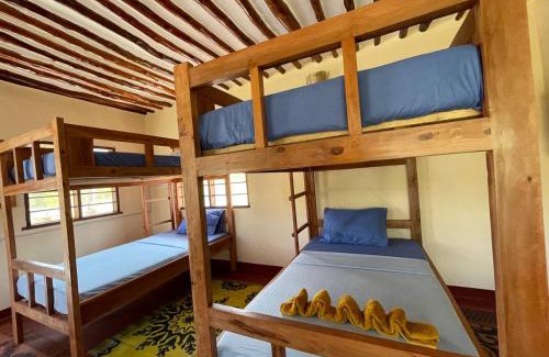 Mkunguni Hotel | Kameleon Blue