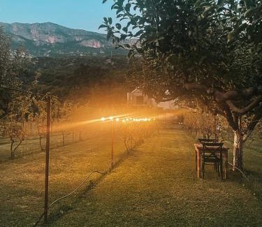 Danilovgrad Municipality Cabin | Kami The Essence