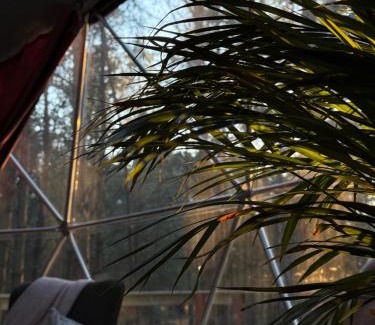 Wyszkow Other | Kamieńczyk Glamp - pod Warszawą