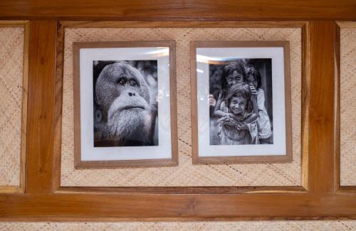 Labuan Bajo Boat Rental | Kamma Sail