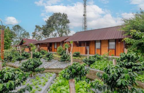 Candikuning House | Kampung Bingo Glamping & Resto by Great Bali Villas