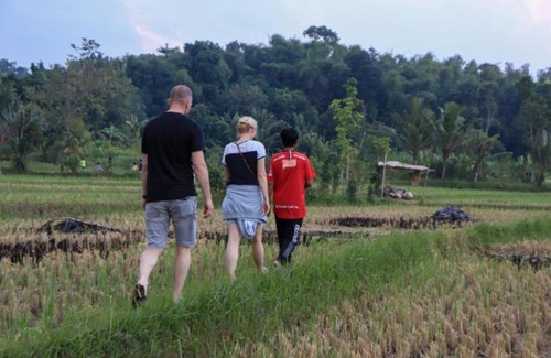 Batukliang Bed & Breakfast | Kangkung House Bujak