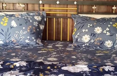 Batukliang Bed & Breakfast | Kangkung House Bujak