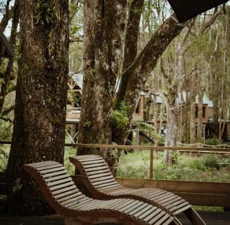 Saint-Benoit Cabin | Kanopea Forest Lodge