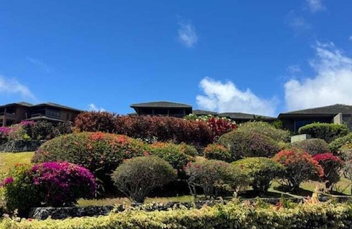Kapalua Condo | Kapalua Golf Villa 15T2 - Remodeled 1BD with Coastal Vibes!