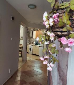 Odorheiu Secuiesc Apartment | Kara Apartman