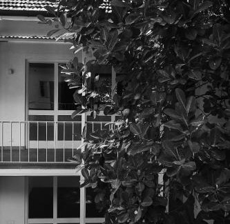 Fort Kochi Hotel | Kara Fort Kochi