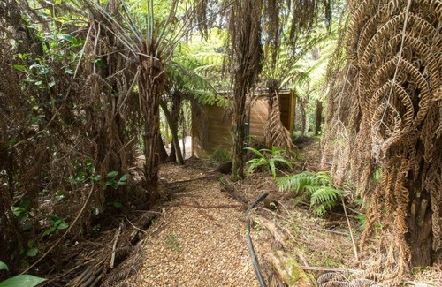 Waiheke Island House | Karaka Sanctuary