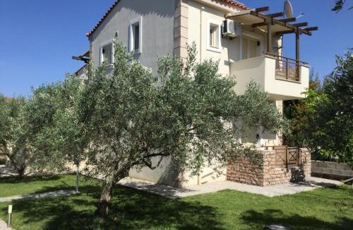 Ayia Anna Apartment | Karavaki
