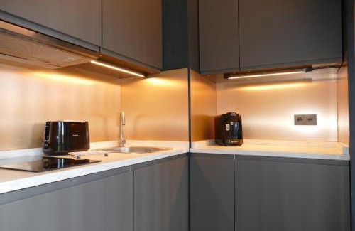 Gera Apartment | Karls Apartment - B24