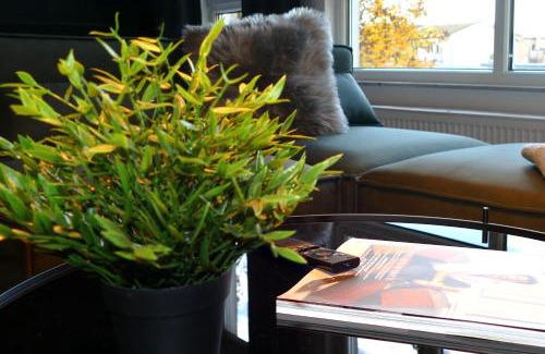 Gera Apartment | Karls Apartment - B24