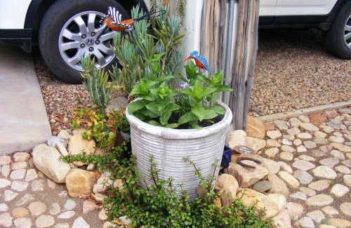 Prince Albert Bed & Breakfast | Karoo Chat