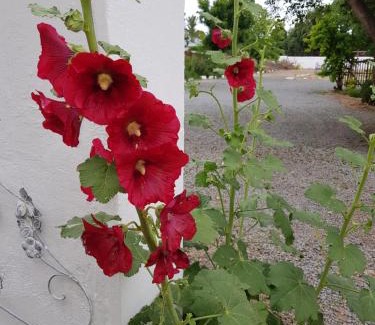 Richmond - NC House | Karoo Manor Guesthouse and Restaurant