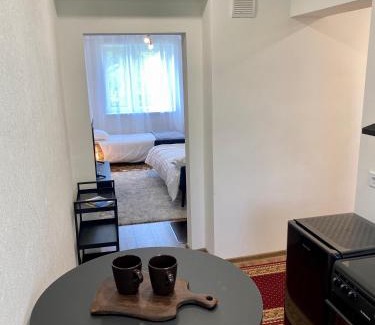 Antsla Parish Apartment | Karula Stay 1 Room City Apartment