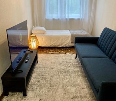 Antsla Parish Apartment | Karula Stay 1 Room City Apartment