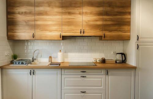 gmina Krempna Apartment | Kasi Polany