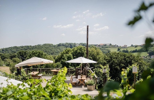 Sankt Anna am Aigen Apartment | Kastanienzimmer mit Terrasse - Weingut & Gästehaus Pfeifer St. Anna am Aigen