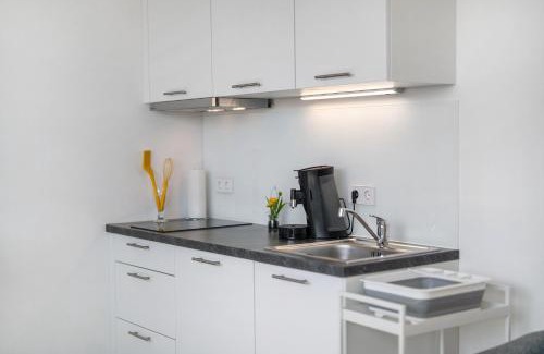 Endingen am Kaiserstuhl Apartment | Katharinenbergblick