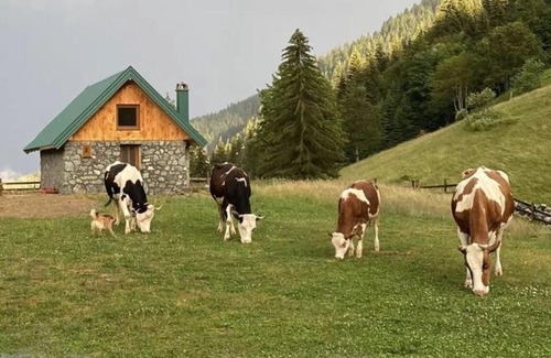 Montenegro House | Katun Suvodo-Domaćinstvo Šekularac