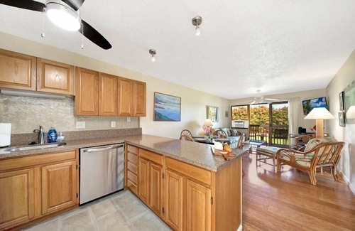 Nawiliwili Condo | Kauai Banyan Harbor B24 2 Bedroom Condo