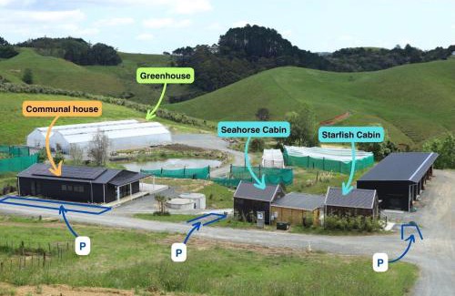 Mahurangi West Other | Kauri Ora Farmstay