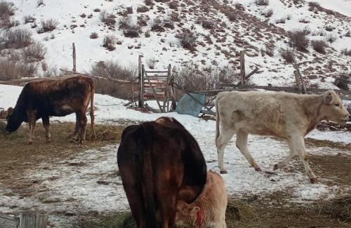 Almaty Province House | Kausar guest house