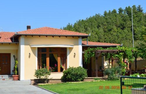 Kavala House | Kavala Villa 360 degrees green