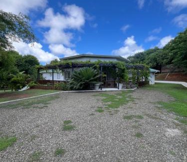 Gate Park House | Kaye Bamboo