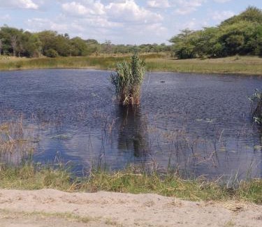 Kongola Other | Kayubo Campsite