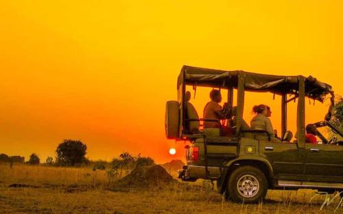 Kasese Cabin | Kazinga Wilderness Lodge