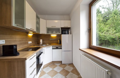 Zelezna Ruda Apartment | Ke Hřišti by Interhome