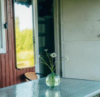 Pieriga Other | Kempings Vārzas